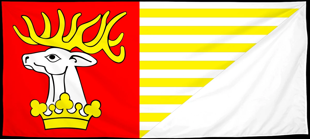 Флаг: Люблинский повет